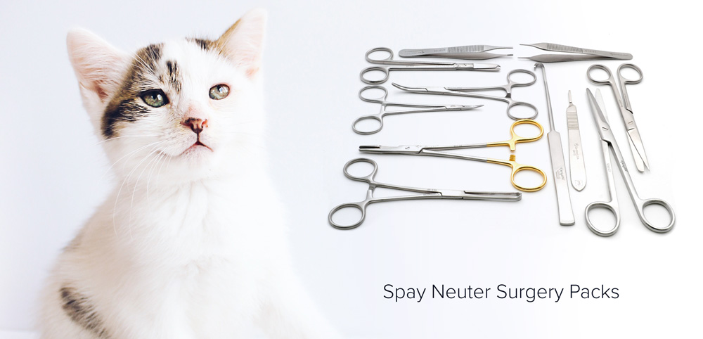 Veterinary spay neuter surgery instruments packs purchase guide 2021